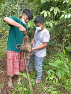 Jurus Hilangkan Jejak Ala Curanmor Bawean, Motor Dipreteli lalu Dikubur Terpisah