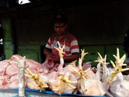 Awal Puasa Tahun ini, Daging Ayam di Tulungagung Tembus Rp 40.000