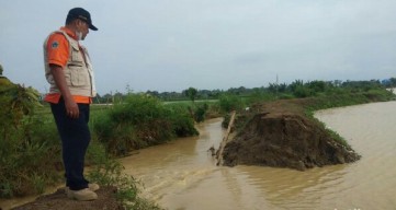 Tanggul Sungai Anak Bengawan Solo di Lamongan Jebol, Akses Jalan Putus Lahan Pertanian Tergenang