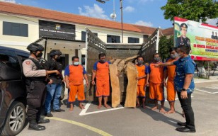 Komplotan Maling Kayu Jati Diamankan Polres Jombang