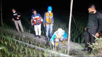 Jebakan Tikus Beraliran Listrik di Ngawi Masih Ditemukan, Petugas Gabungan Lakukan Tindakan Tegas