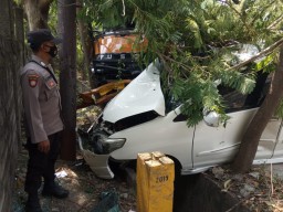 Sopir Ngantuk, Truk Trailer Seruduk Innova di Jalan Raya Pongangan Manyar