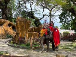 Pengunjung KBS Tembus 17.801 dalam Empat Hari Libur Lebaran