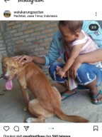 Viral Lokasi Pembantaian Anjing di Tanah Kelahiran SBY, Polres Pacitan Masih Selidiki