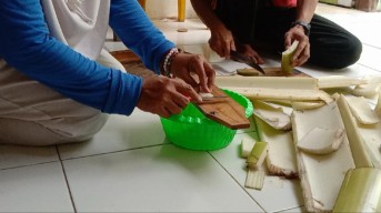 Gedebok Pisang Ternyata Bisa Dijadikan Makanan Ringan, Begini Cara Mengolahnya