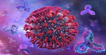 Kasus Mutasi Baru Virus Corona di Jatim Ditemukan Pada Pekerja Migran Malaysia