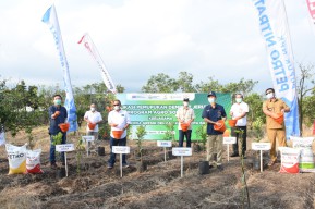 Perluas Program Agro Solution, Kini Petrokimia Gresik Mulai Sasar Komoditas Jeruk