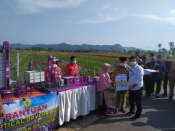 Mentan Salurkan Bantuan Alat Pertanian ke Petani Malang