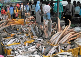 Penyaluran KUR Kelautan dan Perikanan Capai Rp 1,71 Triliun