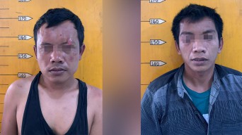 Alap-alap Burung Peliharaan Diangkut Polisi Malang