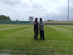 PT Smelting Hijaukan Rumput Stadion GJOS