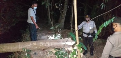 Terbang Pohon Bareng Temen-temen, Warga Tulungagung Tewas Tertimpa