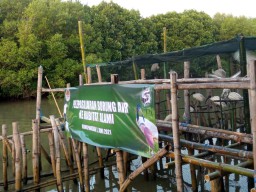 Desa Mangrove Binaan PGN Saka Diusulkan Menjadi Situs Ramsar Dunia
