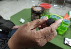 Warga Jember Heboh, Temukan Batu Bisa Bergerak Sendiri di Halaman Sekolah