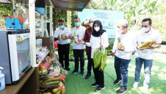 Banyuwangi Bikin Jagoan Tani, Anak Muda Bakal Dimodali Hingga Ratusan Juta