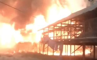 Kandang Ayam di Situbondo Ludes Dilalap Api