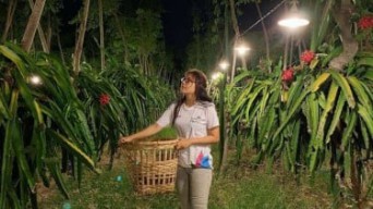 Dukung Sektor Agrikultur, PLN UID Jatim Luncurkan Electrifying Agriculture