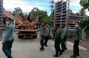 Puluhan Kayu Ilegal Diamankan Polisi Hutan Banyuwangi