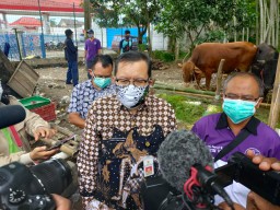 Hewan Kurban Harus Sehat, Berikut Ciri-cirinya Versi DKPP Jember
