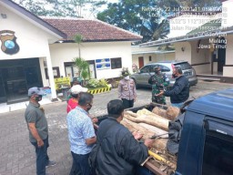 Buru Pelaku Ilegal Logging, Petugas Hanya Temukan Mobil Muatan Kayu