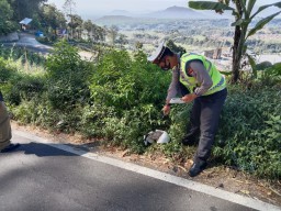 Mendadak Rem Blong Saat di Tikungan, Pemotor Asal Ngawi Tewas