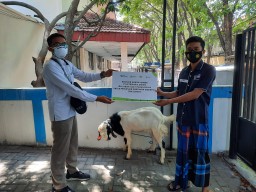 Petrokimia Gresik Salurkan Hewan Kurban Senilai Rp 682 Juta