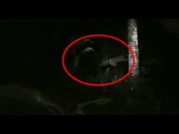 Viral .... ! Postingan TikTok Keranda Terbang Sendiri Gegerkan Netizen Malang