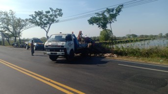 Pick Up Terperosok ke Selokan di Gresik, Ratusan Ayam Penyet