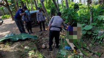 Memanjat Pohon Kelapa, Warga Blitar Tewas Terjatuh