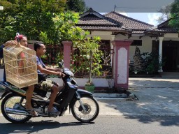 Bupati Probolinggo Tertangkap KPK, Dulu Sekolah SD Sampai SMA di Ponorogo