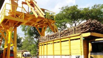 Realisasi Target Produksi Tebu PTPN X Sudah Capai 50 Persen Lebih
