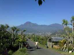 Tamansari Banyuwangi Masuk 50 Besar Desa Wisata Terbaik 2021 dari Kemenparekraf