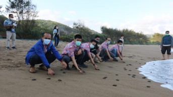 Dukung Pelestarian Satwa Dilindungi, PJB Lepas 3 Ribu Tukik di Laut Pacitan