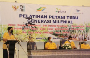 PTPN X Latih Petani Millenial Budidaya Tebu