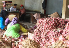 Panen, Harga Bawang Merah Malah Turun Rp 2 Ribu Perkilogram