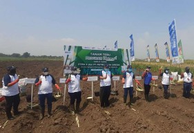 Wujudkan Agro Solusi, PTPN Gandeng Petrokimia Gresik Gelar Tanam Tebu Perdana di Mojokerto