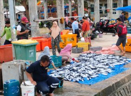 Pemkab Gresik dan Bea Cukai Bawa Potensi Laut Bawean ke Pasar Luar Negeri