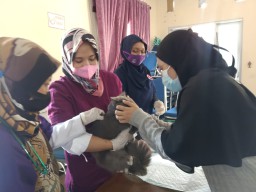 250 Hewan di Bojonegoro Disuntik Vaksin, Ternyata Ini Tujuannya