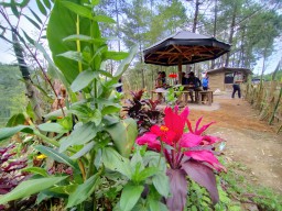 Bim Salabim! Tempat Sampah Jadi Taman