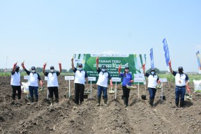 Petrokimia Gresik Bersama PTPN X Kawal Petani Tebu Lewat Program Makmur, Dukung Swasembada Gula 2024