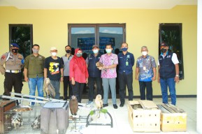 Ditpolairud Polda Jatim Gagalkan Penyelundupan Burung Hantu dan Elang