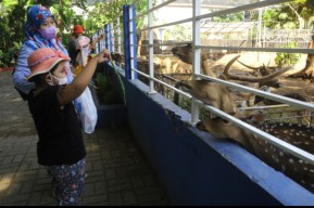 8 Taman Kota di Surabaya Mulai Dibuka, Syaratnya Harus Prokes