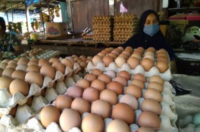 Harga Telur Anjlok Selama September, Jatim Alami Deflasi 0,11 %