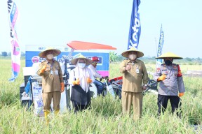 Bertemu Petani, Bupati dan Wabup Gresik Bahas Soal Kali Lamong dan Robot Pengusiran Tikus