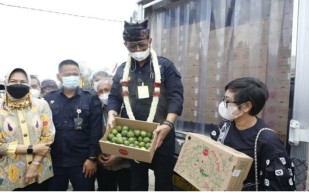 Jeruk Purut Asal Kota Batu Diekspor ke Prancis dan Belanda