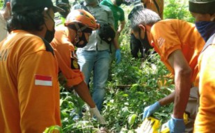 Bayi Baru Lahir Diduga Dibuang di Jurang Pacet Mojokerto