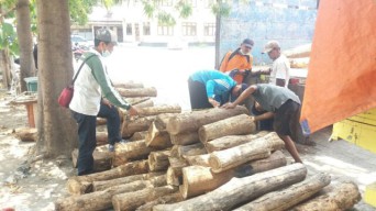 Bawa Ratusan Kayu Sonokeling Ilegal, Sopir Truk Diamankan Reskrim Polres Situbondo