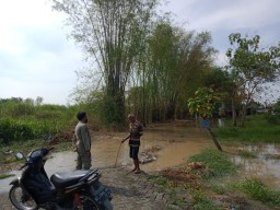 5 Desa Dua Kecamatan di Gresik Dapat Kiriman Luapan Banjir Kali Lamong