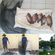 Curi Ikan Gurami Milik Tetangganya, Kampret Ditangkap Warga