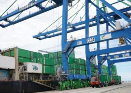 Dukung Mitigasi Penanganan Krisis Iklim, Pelindo Kembangkan Green Port